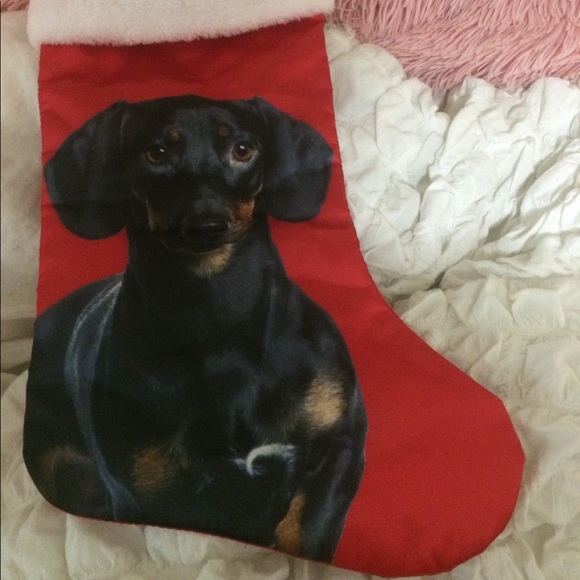 I ❤️ My Doxie Doggy 🐶 Stocking!! - Picture 2 of 7